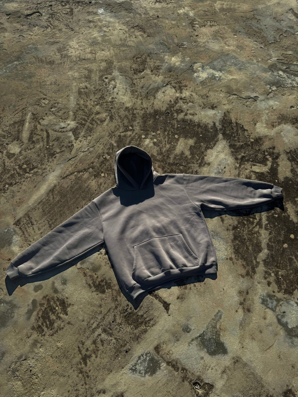 Discovery Hoodie